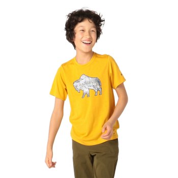 Columbia Ranco Lake Short Sleeve, Camiseta Dorados Claro Para Niño | 063874-HYV